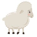 Cute cartoon little sheep isolated on white background, illustration