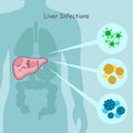 Cute cartoon liver infections