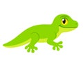 Cute cartoon Lizard