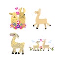 Cute cartoon llama alpaca vector graphic design set. Hand drawn llama character illustration Royalty Free Stock Photo