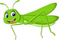 Cute cartoon locust for you design