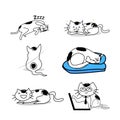 Cute cartoon lovely Cat sketching symbol in holiday activity isolated on white background ,love and care concept