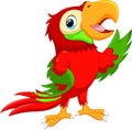 Cute cartoon macaw cartoon waving