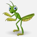Cute cartoon mantis on white background Royalty Free Stock Photo