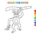 Cute cartoon monkey hanging from the tree and taking banana in hand coloring book for kids. black and white vector illustration Royalty Free Stock Photo