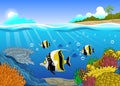 Cute Cartoon of Moorish Idol Fish Pack Swiming in the Coral