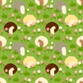 Cute cartoon mouse butt seamless pattern background. Funny colorful chinchilla in the grass background with flowers.