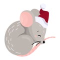 Cute cartoon mouse sleeping in a red christmas hat. New year 2020 design