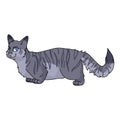 Cute cartoon munchkin cat vector clipart. Pedigree kitty breed for cat lovers. Purebred grey domestic kitten for pet