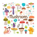 Cute cartoon mushrooms with faces