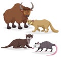 Cute cartoon North America and Europe animals set. Yak, otter, puma cougar and opossum. Vector drawings for kids. Royalty Free Stock Photo