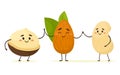 Cute cartoon nuts, macadamia, almonds and cashews hold hands. Best friends. Vector isolate in cartoon flat style.