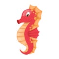 Cute cartoon orange seahorse. Isolated vector illustration. Royalty Free Stock Photo