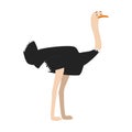 Cute cartoon ostrich vector illustration Royalty Free Stock Photo