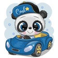 Cartoon Panda boy in a cap goes on a Blue car Royalty Free Stock Photo