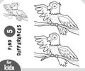 Cute cartoon Parrot bird, Find differences educational game for children