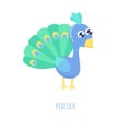 Cute cartoon peacock vector illustration. Royalty Free Stock Photo