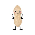 Cute cartoon peanut vector illustration isolated on white background.