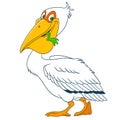 Cute cartoon pelican