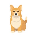 Cute cartoon pembroke welsh corgi vector illustration.