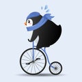 Cute Penguin cartoon