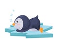 Cute Cartoon Penguin Sleeping on Ice Plate Vector Illustration Royalty Free Stock Photo