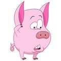 Cute cartoon pig Royalty Free Stock Photo