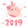 Cute cartoon piggy flying character, funny, smile, nose, heart, piglet, pink. Greeting cards, lettering, asian symbol mascot Year