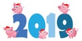 Cute cartoon pigs jump on figures 2019