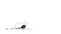 Cute cartoon pillbug crawling Royalty Free Stock Photo