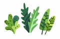 Cute cartoon plants isolated on white background vector. Decorative nice elegant leaves stock flat style illustration.