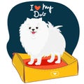 Cute cartoon pomeranian puppy I love my dog, vector print. Pedigree kennel doggie breed for dog lovers. illustration