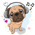 Cute cartoon Pug Dog with headphones