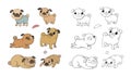Cute cartoon pug set. Cheerful funny dog picture for the veterinarian. Vector illustration. Clothing for puppies Royalty Free Stock Photo