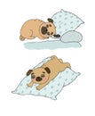 A cute cartoon pug is sleeping on a pillow. Funny dog