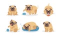 Cute cartoon pugs in different situations. Vector illustration.