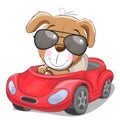 Cute Cartoon Puppy goes on a red car