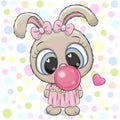 Cute Cartoon Rabbit with bubble gum