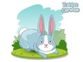 Cute Cartoon Rabbit Characters. Vector Illustration Cartoon Styl