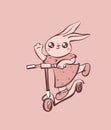 Cute cartoon rabbit in dress on scooter vector illustration