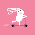 Cute cartoon rabbit hare riding a kick scooter. Speed line. Baby pink background. Flat design.