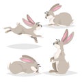 Cute cartoon rabbits set. Different poses farm and wild animals collection. Sitting, running, sleeping and staying poses. Comic st Royalty Free Stock Photo