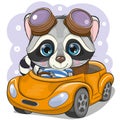 Cartoon Raccoon boy in glasses goes on a Orange car