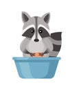 Cute cartoon Raccoon washes clothes in a plastic basin. Cartoon animal character design. Flat illustration isolated on