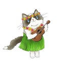 Hawaiian Ragdoll Cat playing the Ukulele