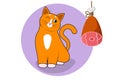 A cute cartoon red cat, kitty sits with narrowed eyes next to the hanging ham. Vector