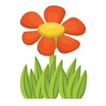 Cute cartoon red flower with grass in kid\'s flat style isolated on white background. Summer daisy Royalty Free Stock Photo