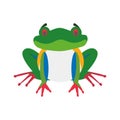 Cute cartoon red-legged frog vector illustration