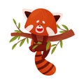 Cute Cartoon Red Panda Hanging on Tree Branch Vector Illustration