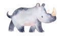 Cute cartoon rhinoceros. African wild animal. Watercolor illustration Royalty Free Stock Photo
